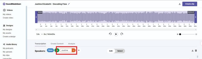 Transcription editing on SoundMadeSeen