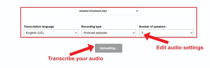 Transcribe Your Audio